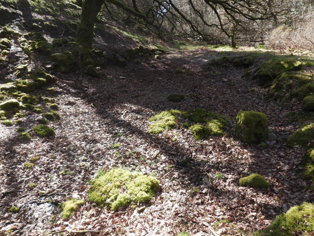 10b. Level Depression with walling