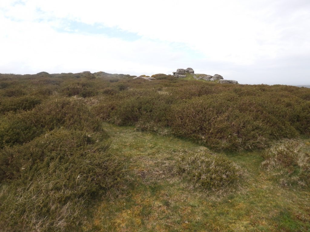 11a. 3rd Tee SX69623 86082