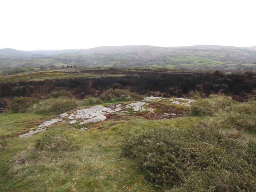 11b. View from 3rd Tee