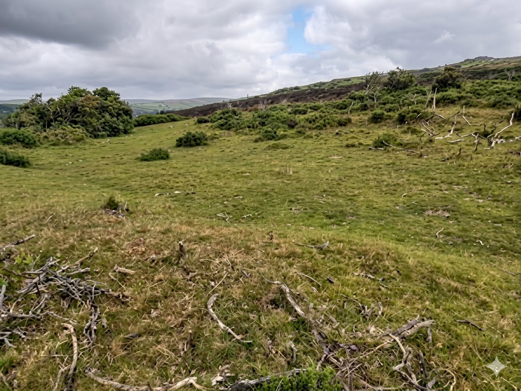 12. 3rd Green - 2020