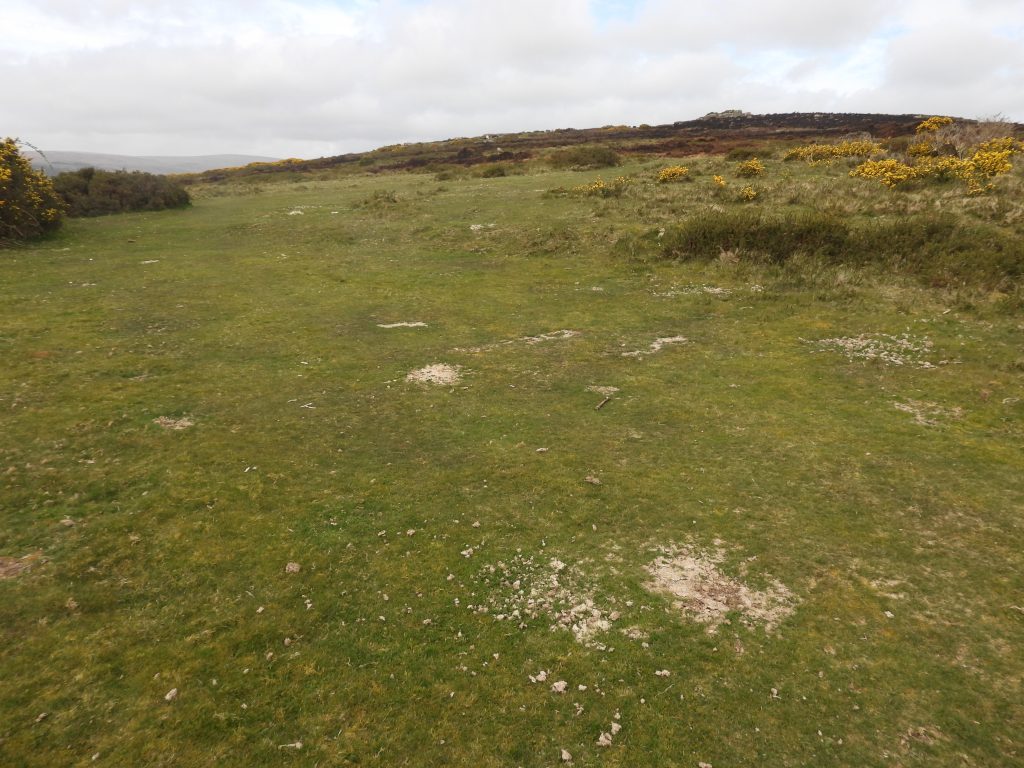 12a. 3rd Green SX69628 85769