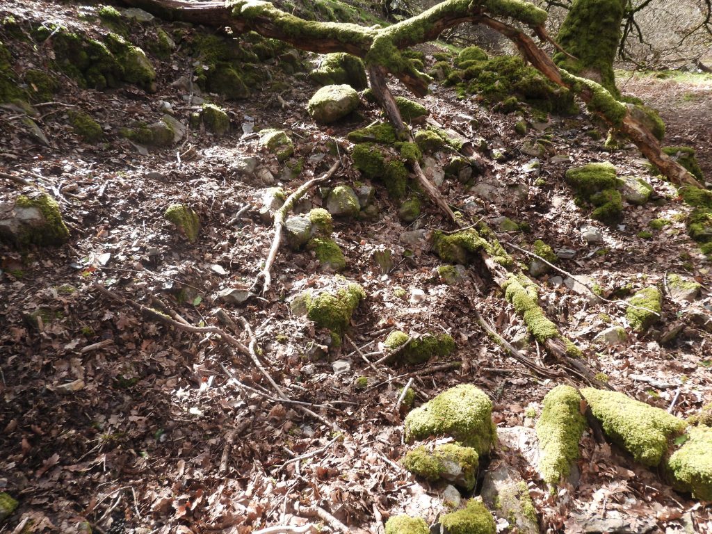 12a. Mill internal stone tumble