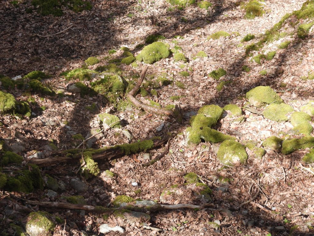 12c. Mill internal stone tumble