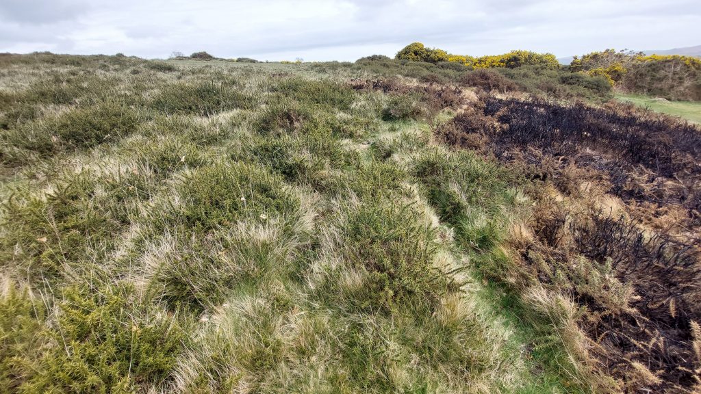 13. Looking for 4th Tee