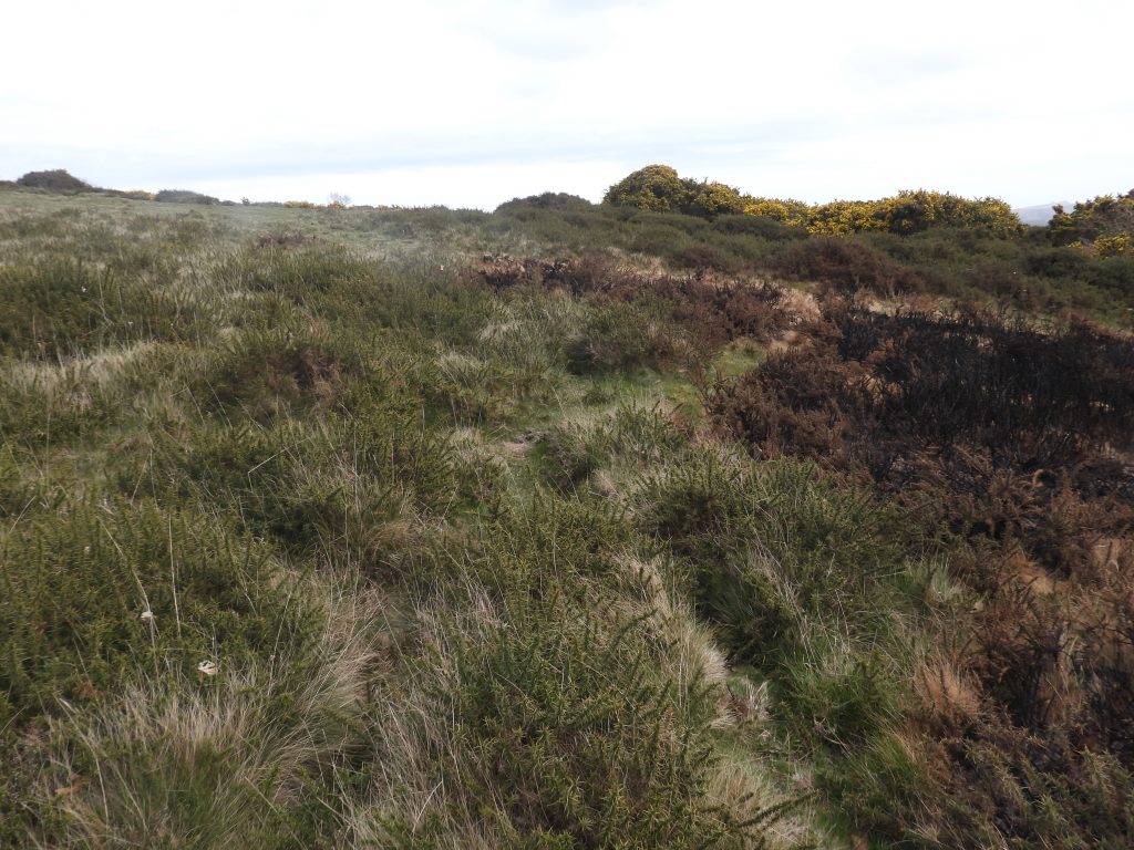 13a. Looking for 4th Tee