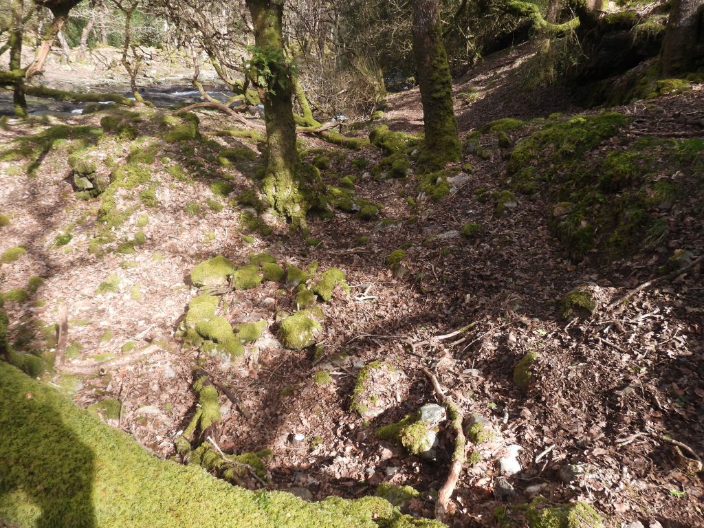 13a. Mill in sunshine