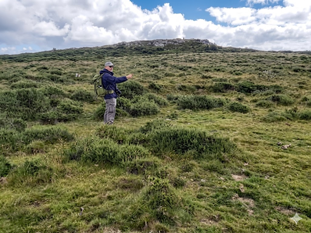 14d. 4th Green - 2020