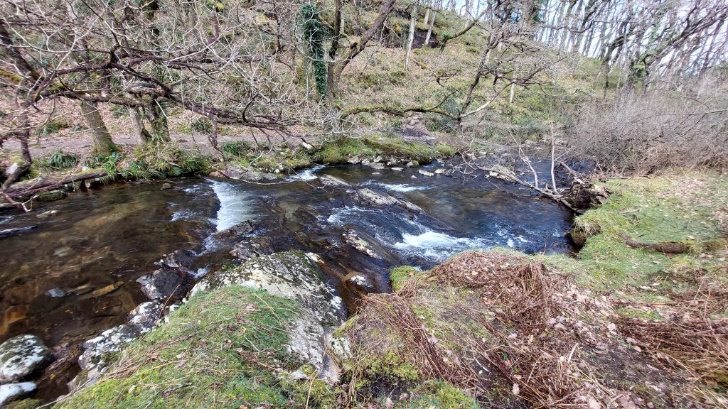 15a. River Taw