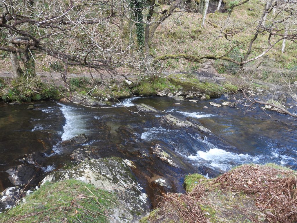 15b. River Taw