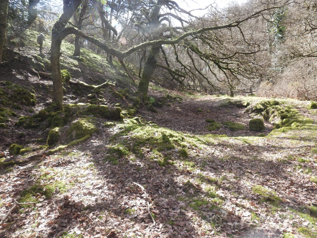 18. General view of Mill, Leat and Level Depression looking south