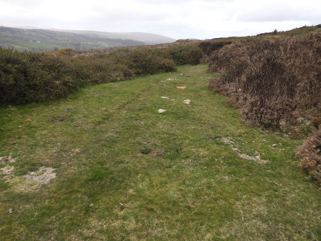 18a. 6th Green SX69355 85978