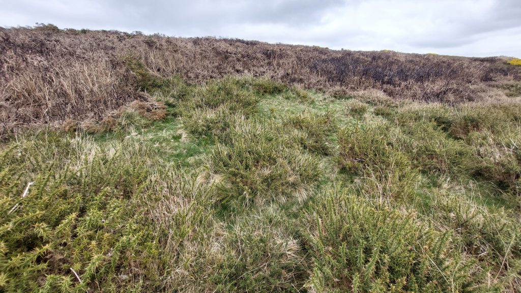 19. Searching for 7th Tee