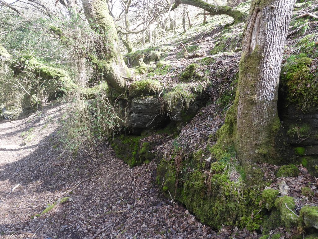 19a. Natural Rock Scarp