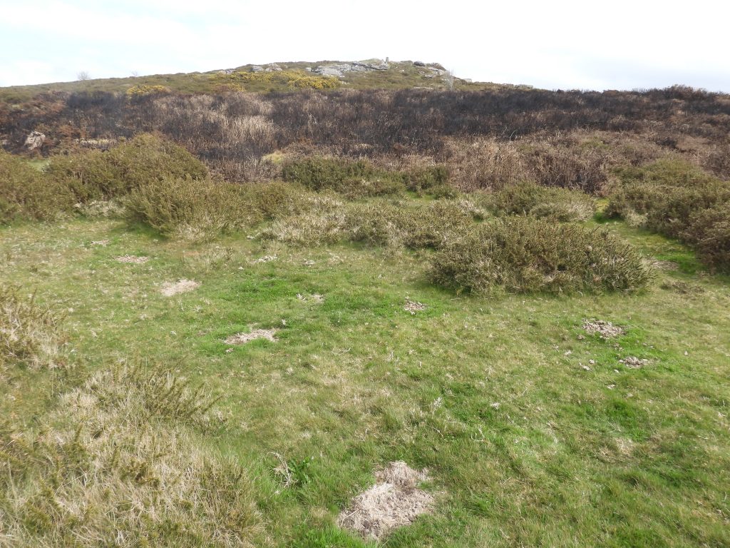 20a. 7th Green SX69449 86116