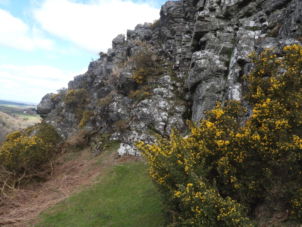20a. West Cleave Tor