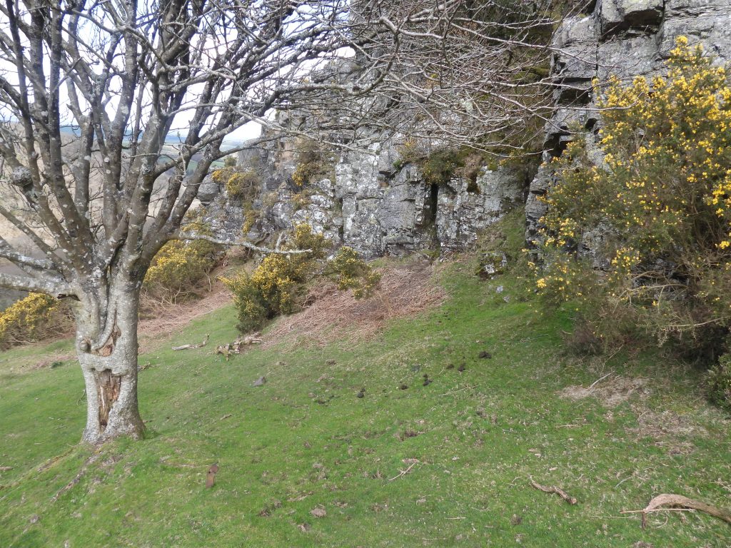 20b. West Cleave Tor