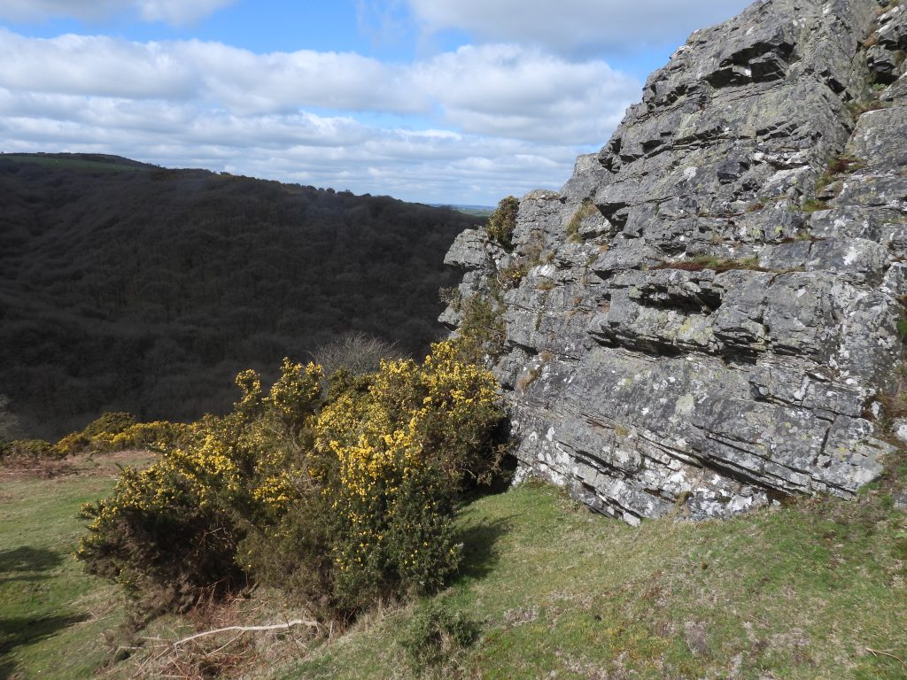 20c. West Cleave Tor