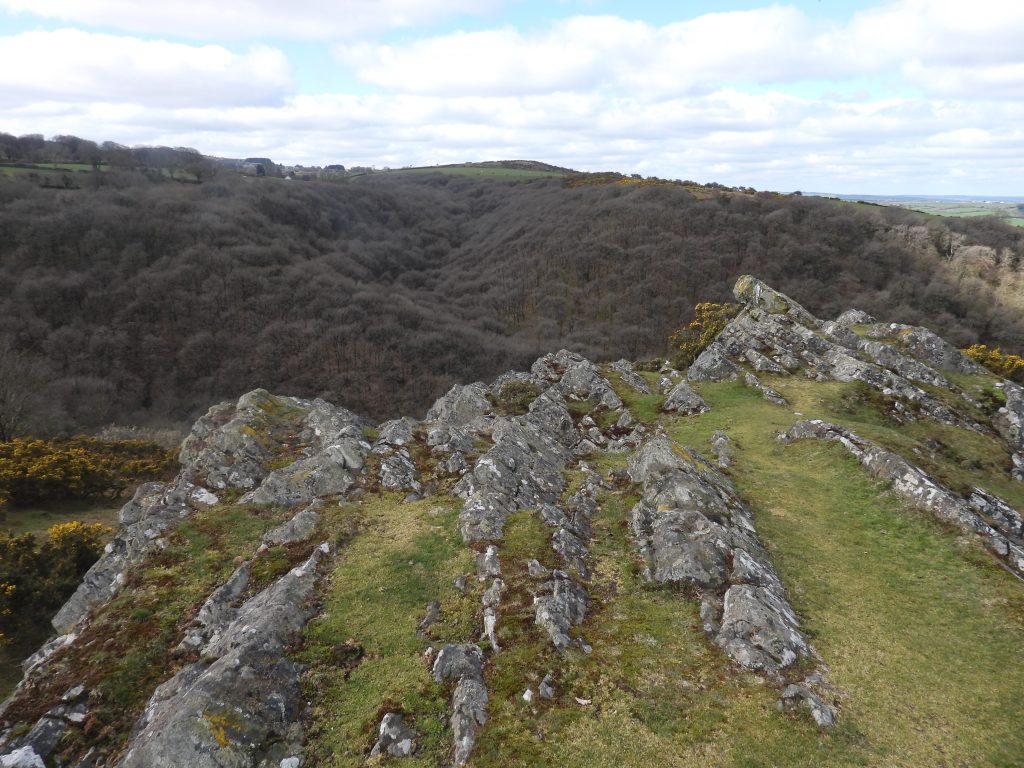 20d. West Cleave Tor