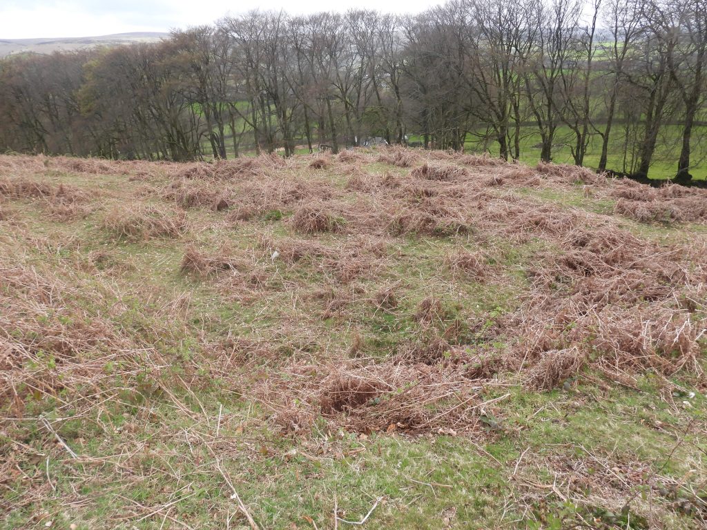 22a. 8th Green SX69504 85730