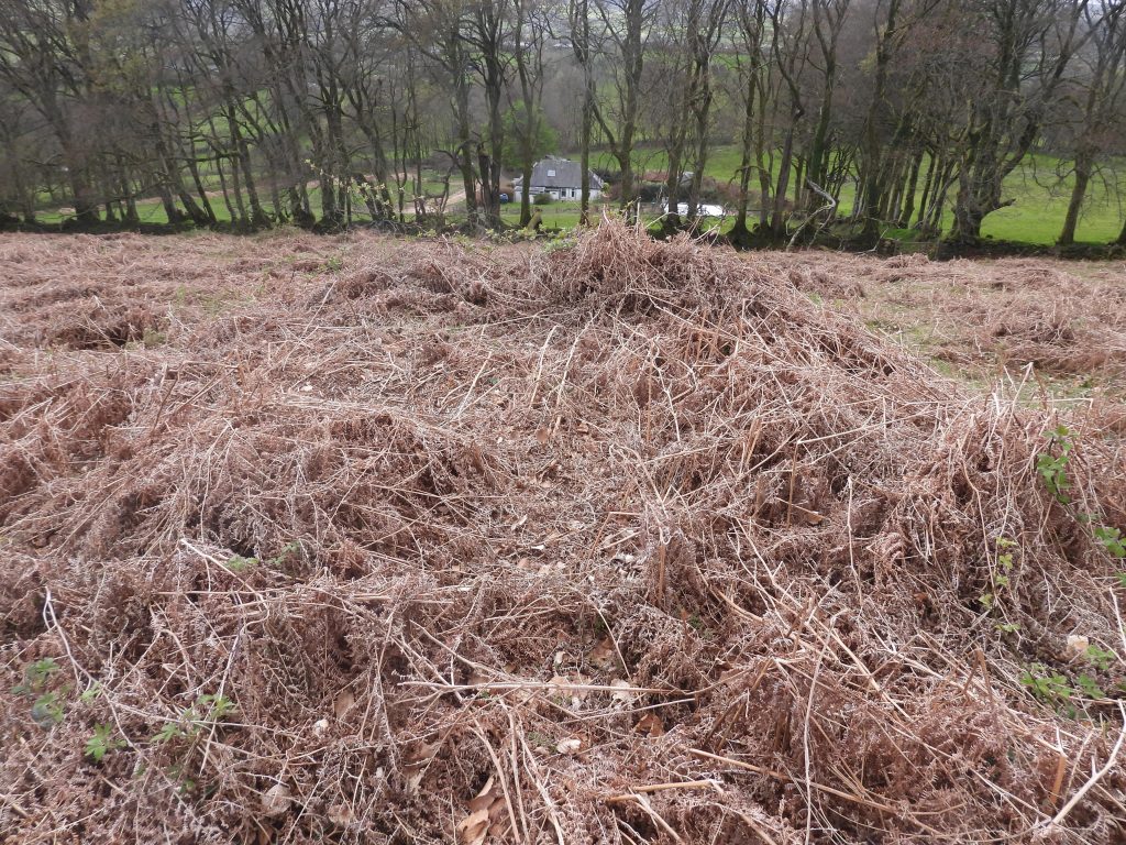 23a. 9th Tee SX69517 85718