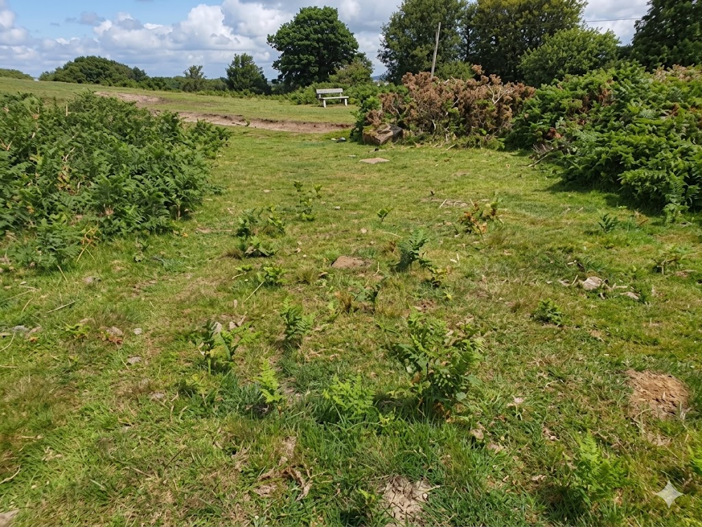 24. 9th Green - 2020