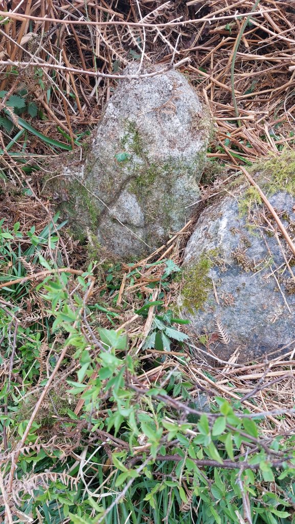 4a. A
