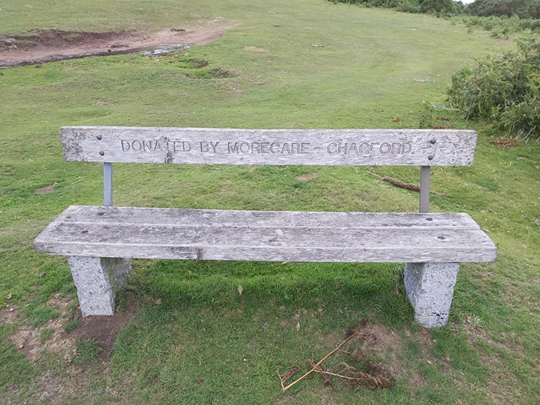 5. Bench 1 - 1st Tee