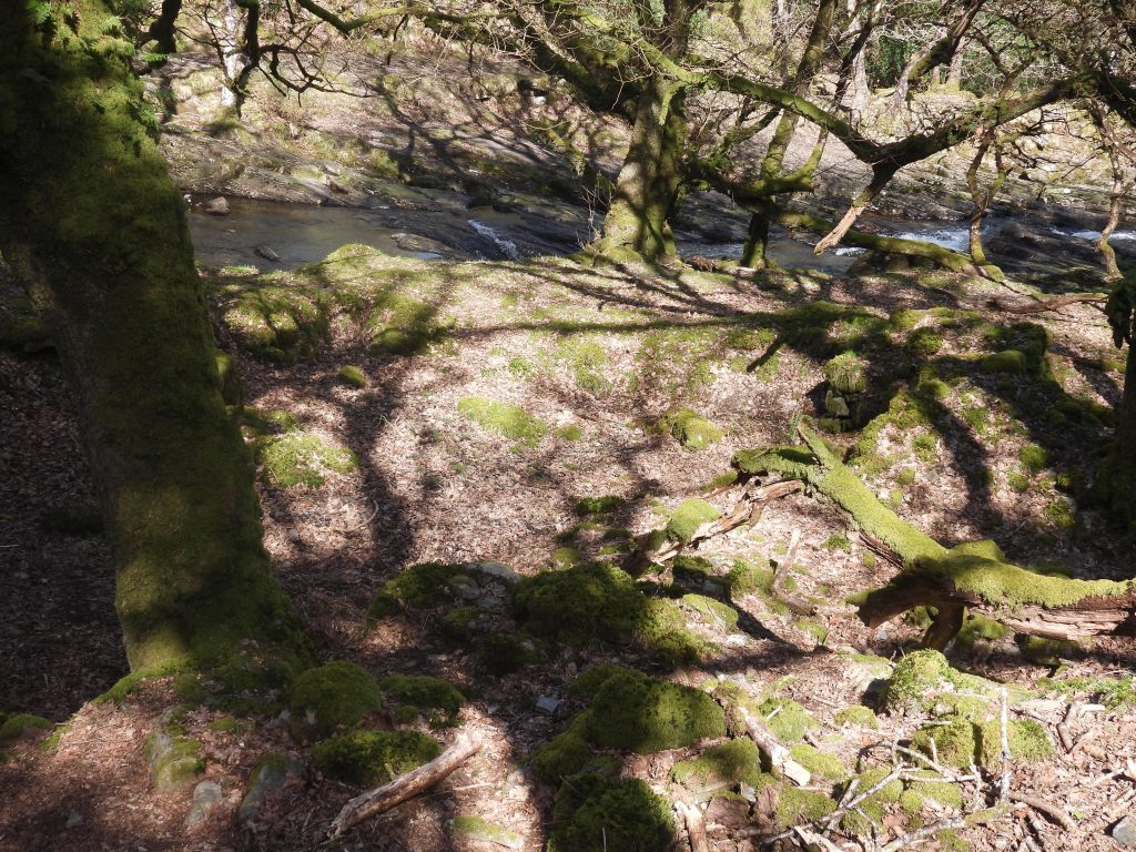 5. Mill and Level Depression - General Context