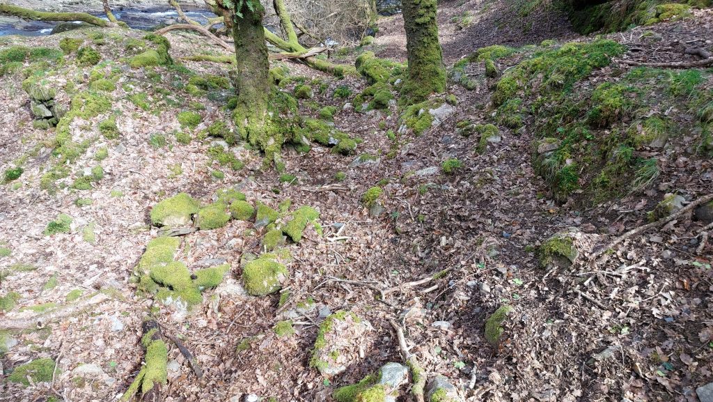 5a. Mill General View - unannotated