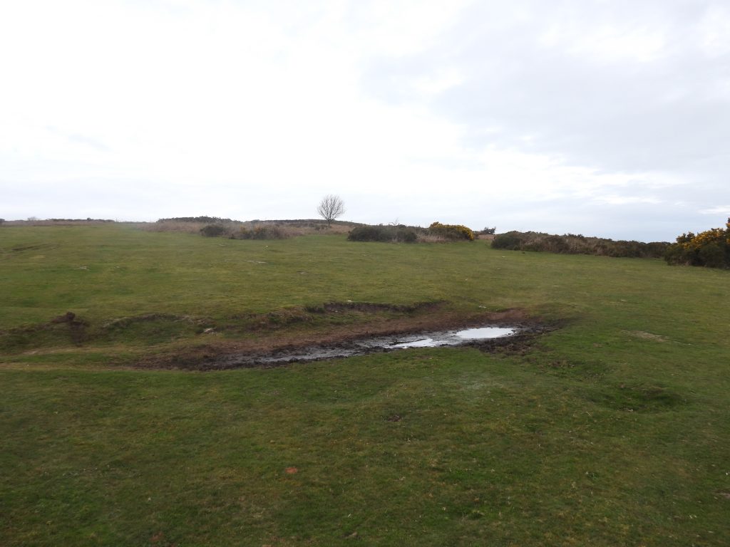 6b. Looking from 1st Tee