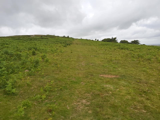 7. 1st Fairway - 2020