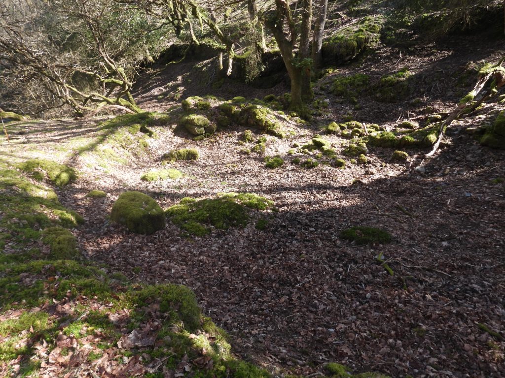 7a. Level Depression and Mill unannotated