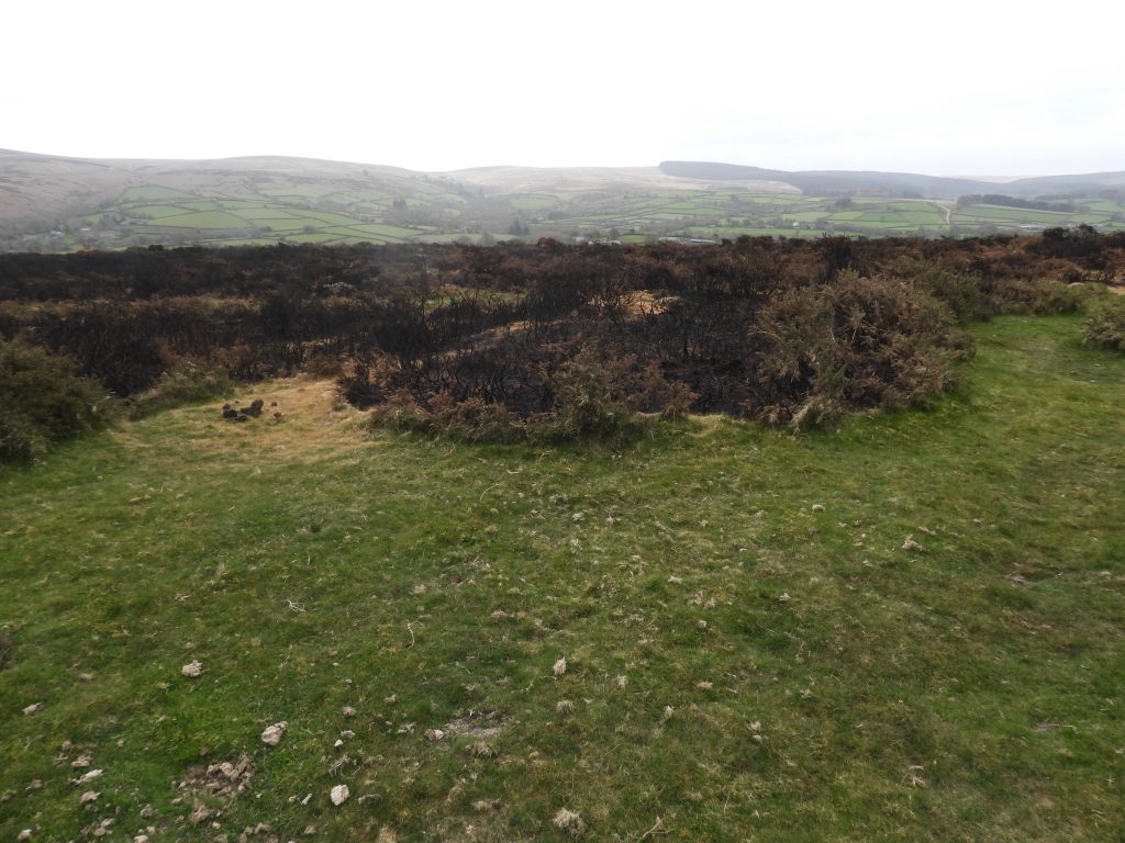 8a. 1st Green SX69670 85979