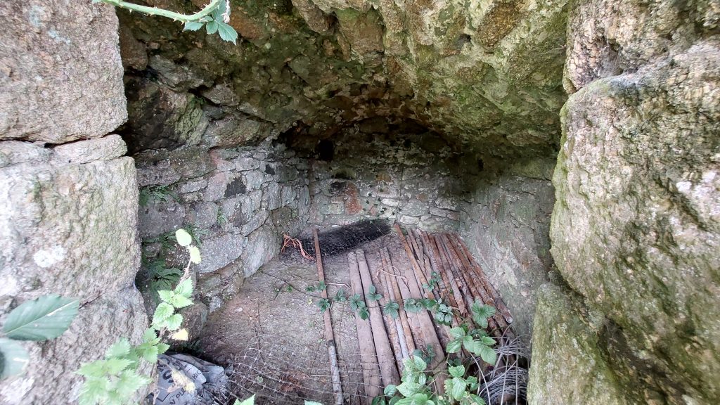 9. Ash House Internal