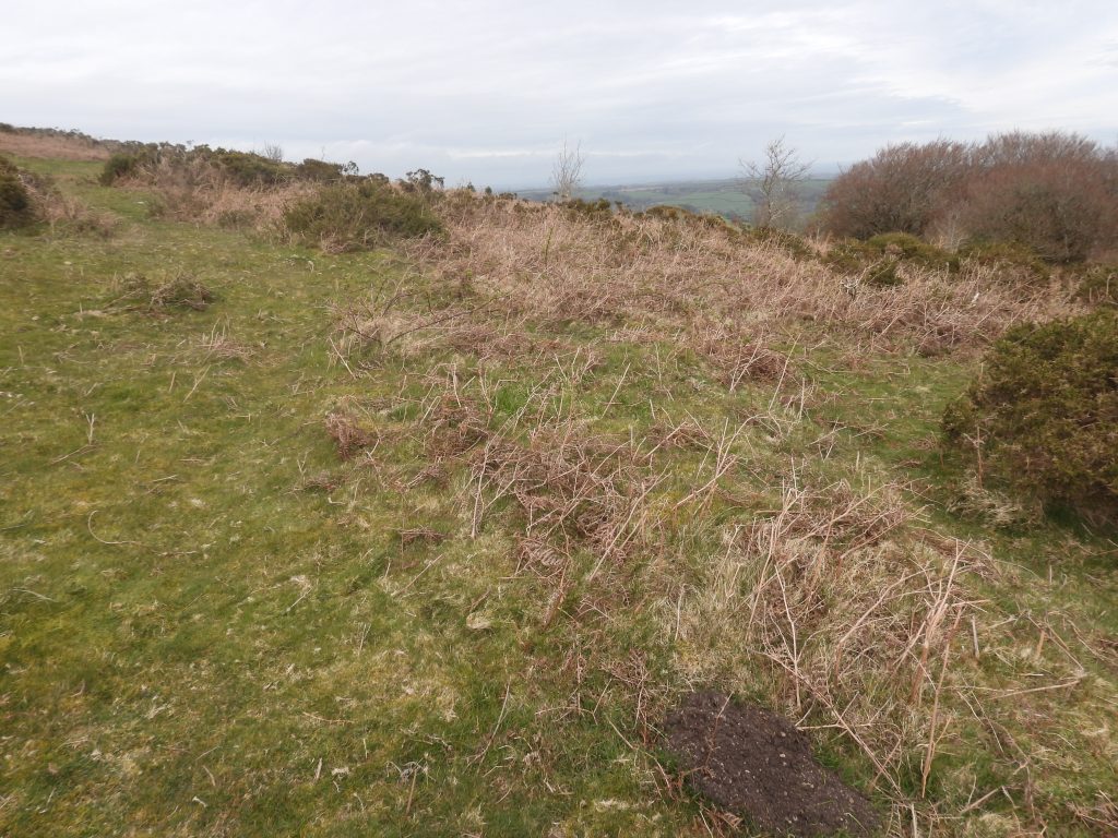 9a. 2nd Tee SX69735 86044