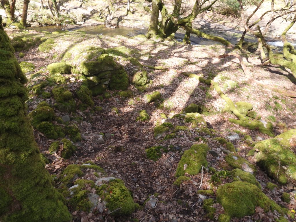 9a. Wheelpit and Tailrace unannotated