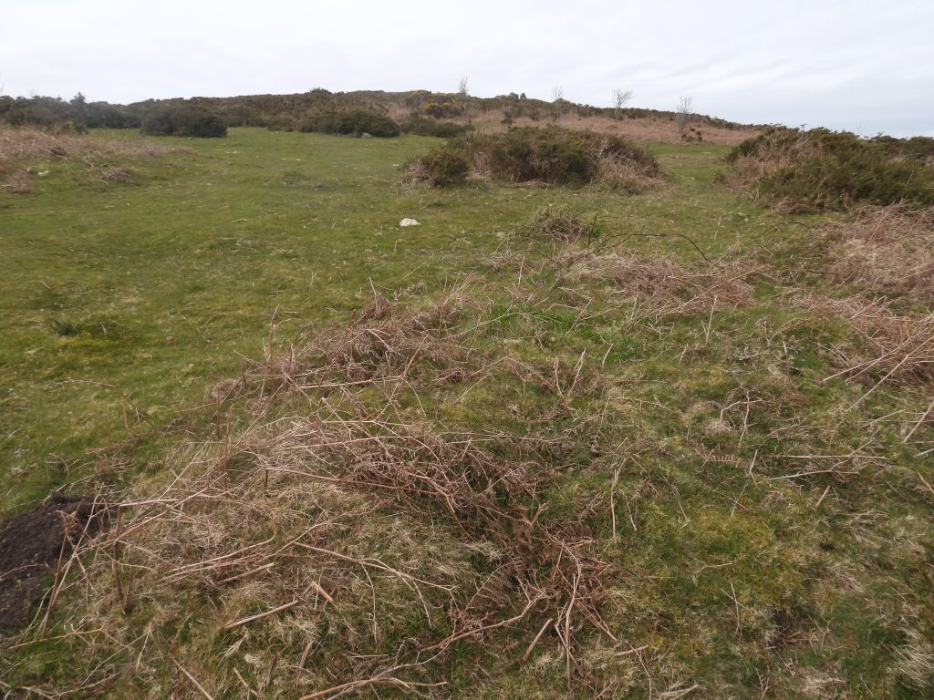 9b. View from 2nd  Tee