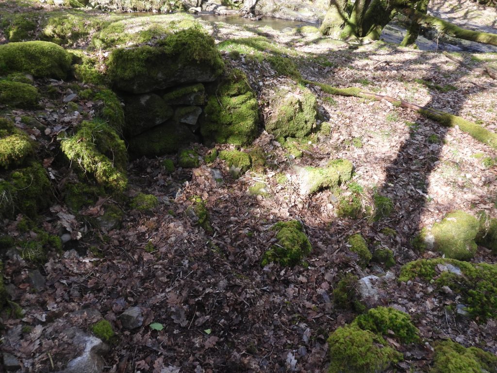 9c. Wheelpit and Tailrace