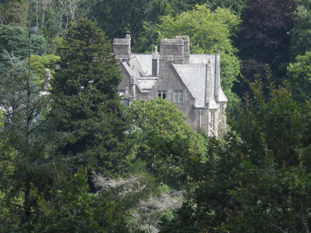 1. Delamore House