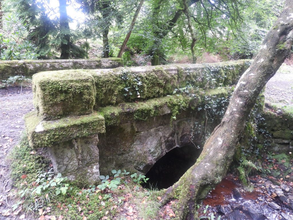 10. Bridge