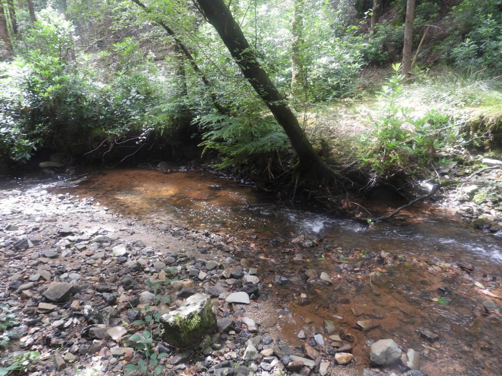 11a. Piall River