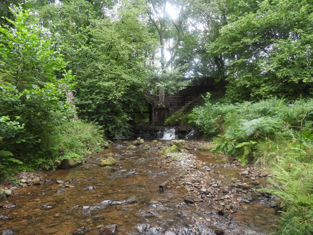 12b. Piall Bridge
