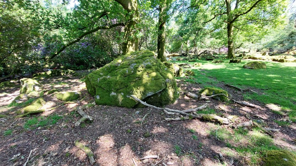 16b. West Rook Rocks