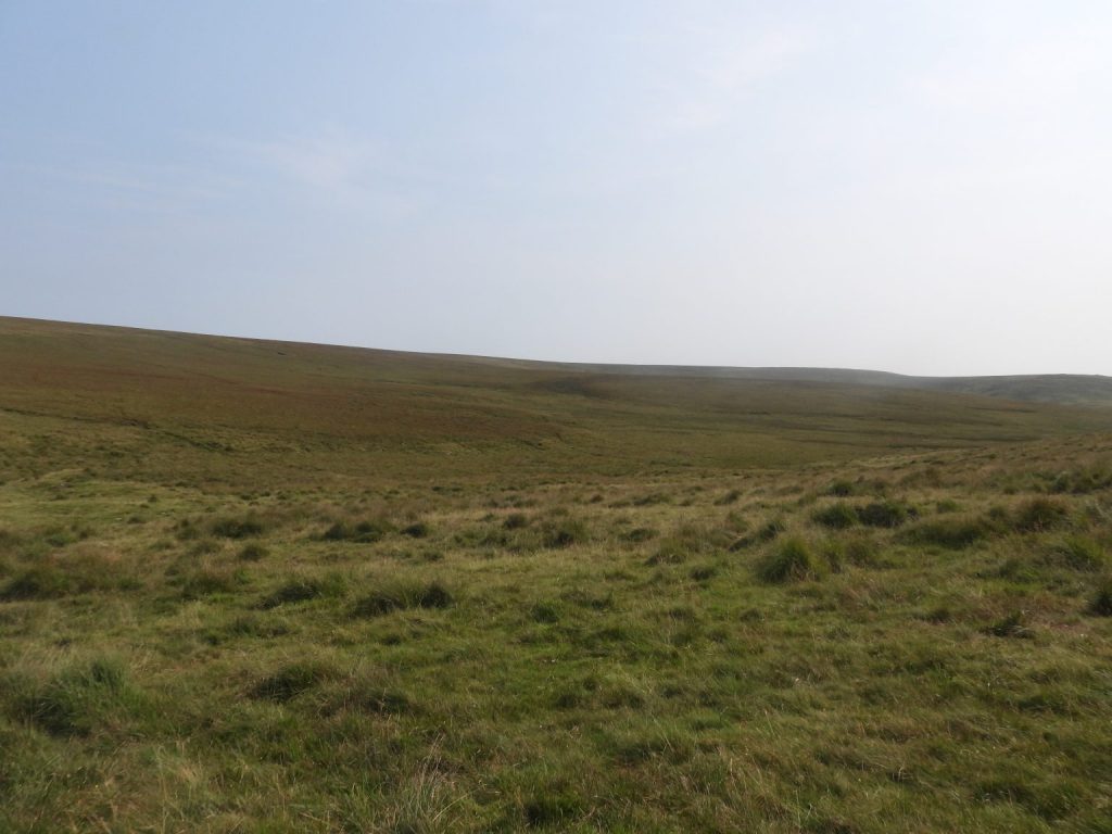 3. Brim Brook Head