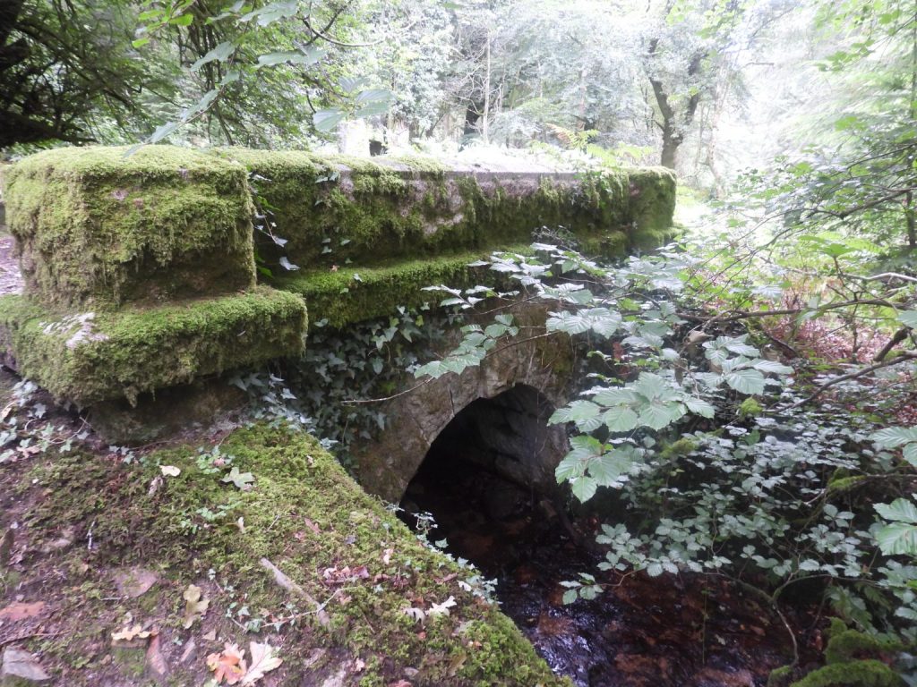 9. Bridge