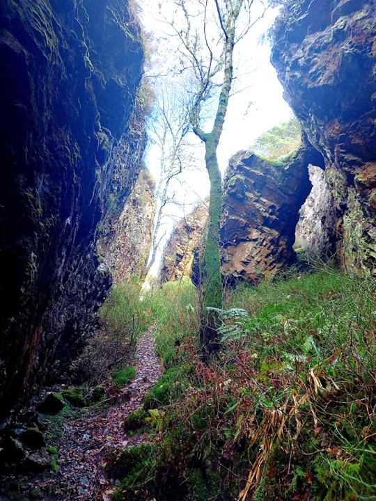 1. Cleft Rock f
