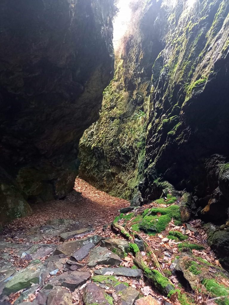 1. Cleft Rock g