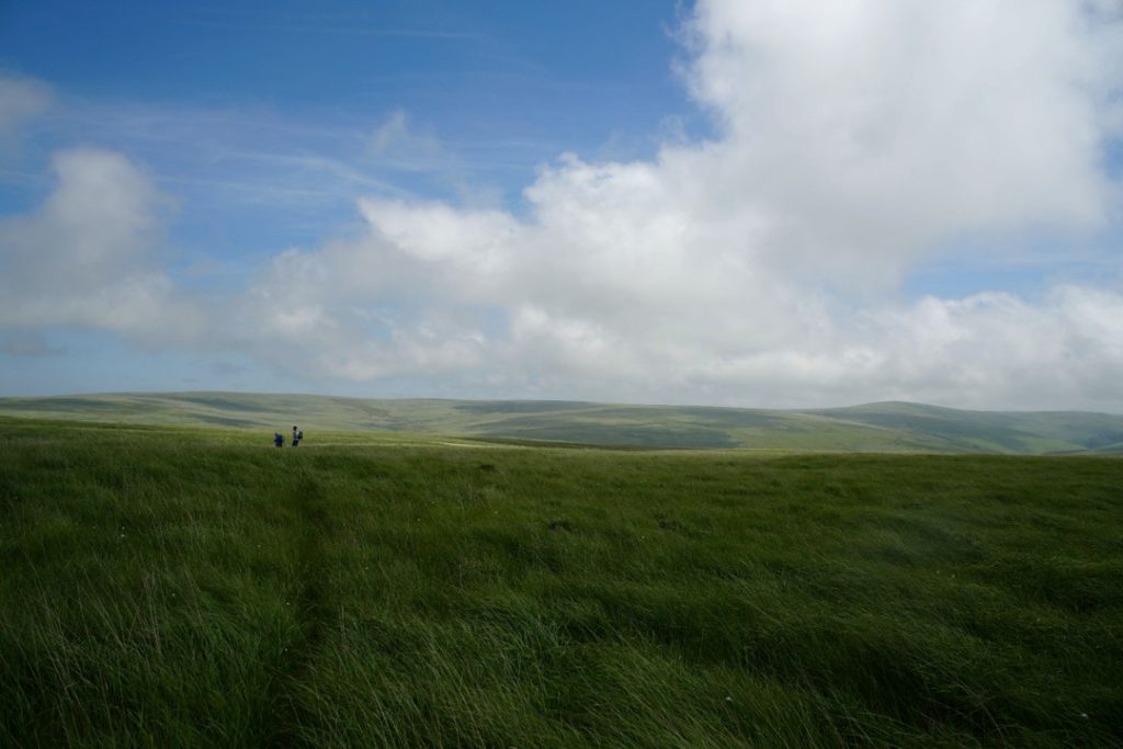 1. Langcombe Hill contrast
