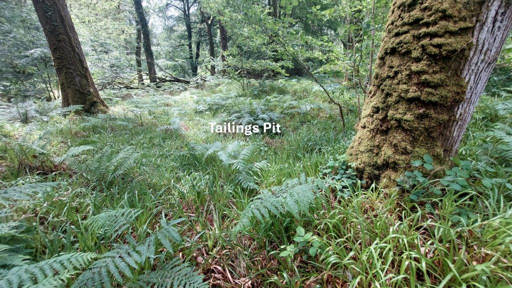 10b. Tailings Pit - Annotated