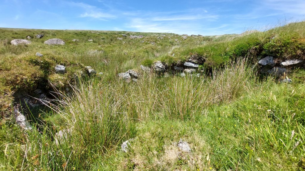 11. Tinners Hut b